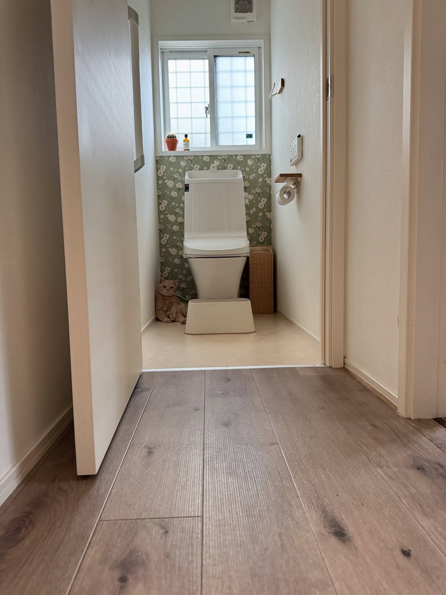 自宅トイレに「なんかおる」→壁をよく見てみると……　まさかの姿に「神様や」「いる！」「絵になりますね」「かわいい」