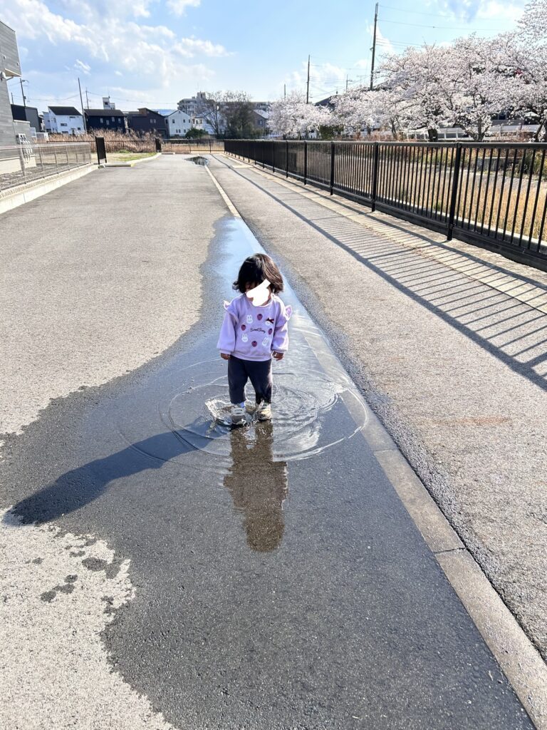 【実際の写真4枚】　ママが見た光景