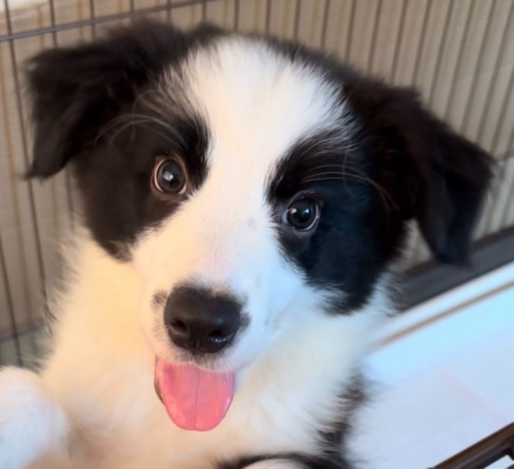 【実際の写真5枚】　投稿者さんが見た光景