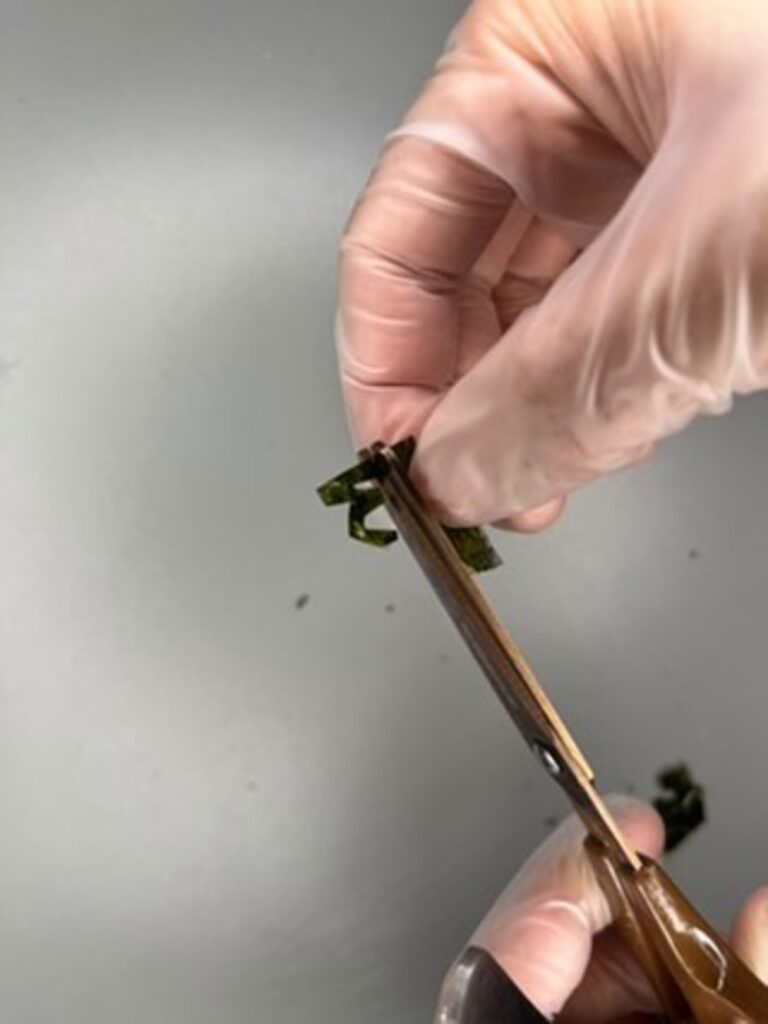 【実際の写真6枚】　おにぎりの様子