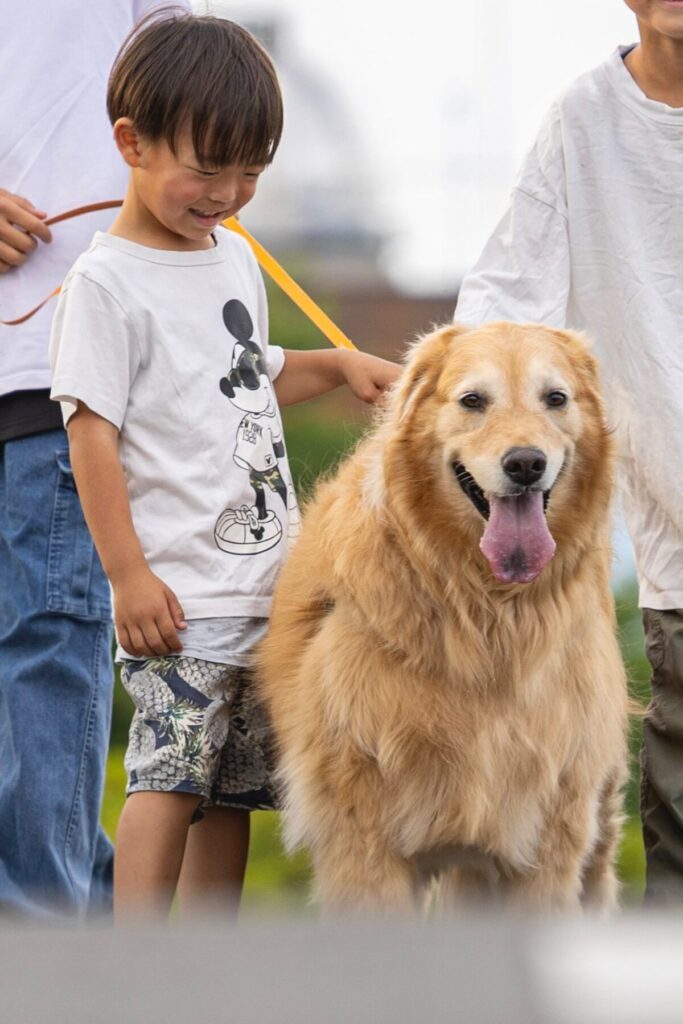 普段の息子さんときなこちゃん（@kinako_3brosさんより提供）