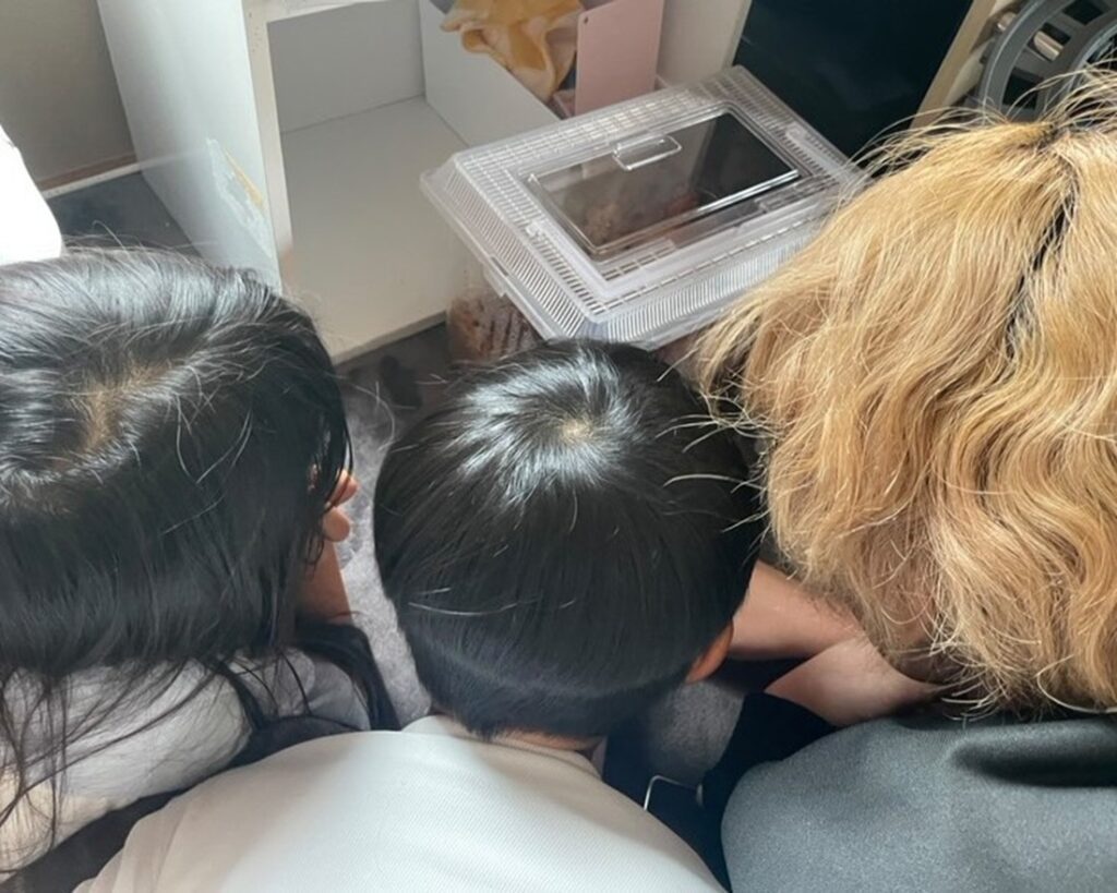 ベランダに落ちていたコクワガタを飼い始めたそうです＠nana_re_rivalさんより提供）