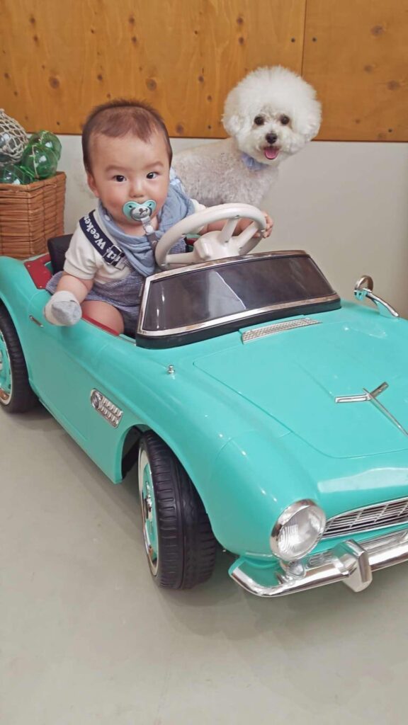 【実際の写真６枚】　ママが見た光景