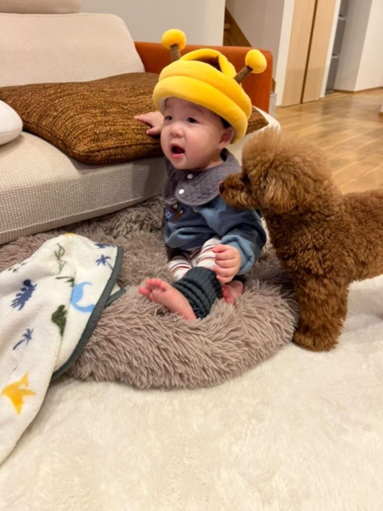 普段の様子（＠leo_poo__1126さんより提供）