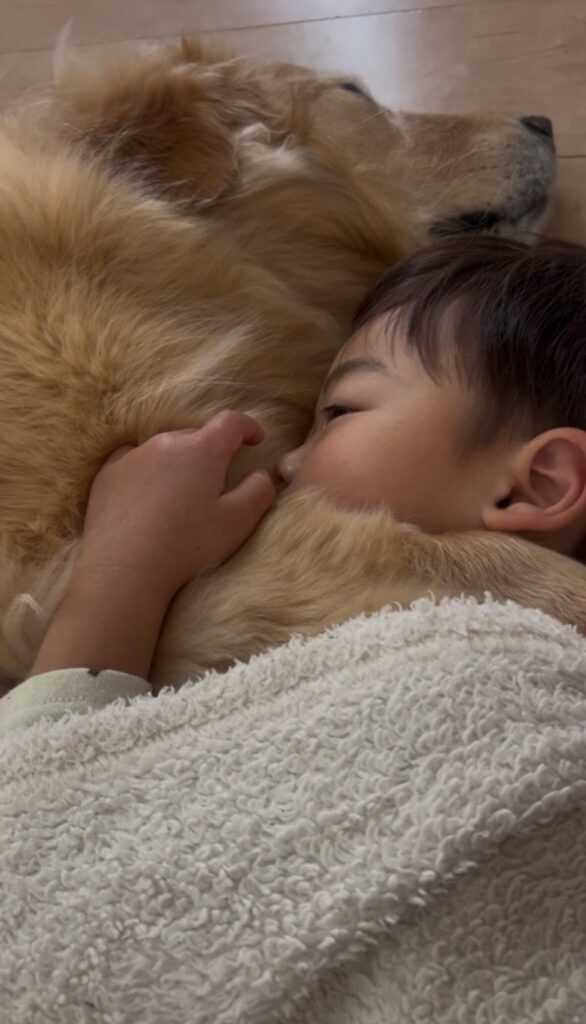 寝るときも一緒（@kinako_3brosさんより提供）