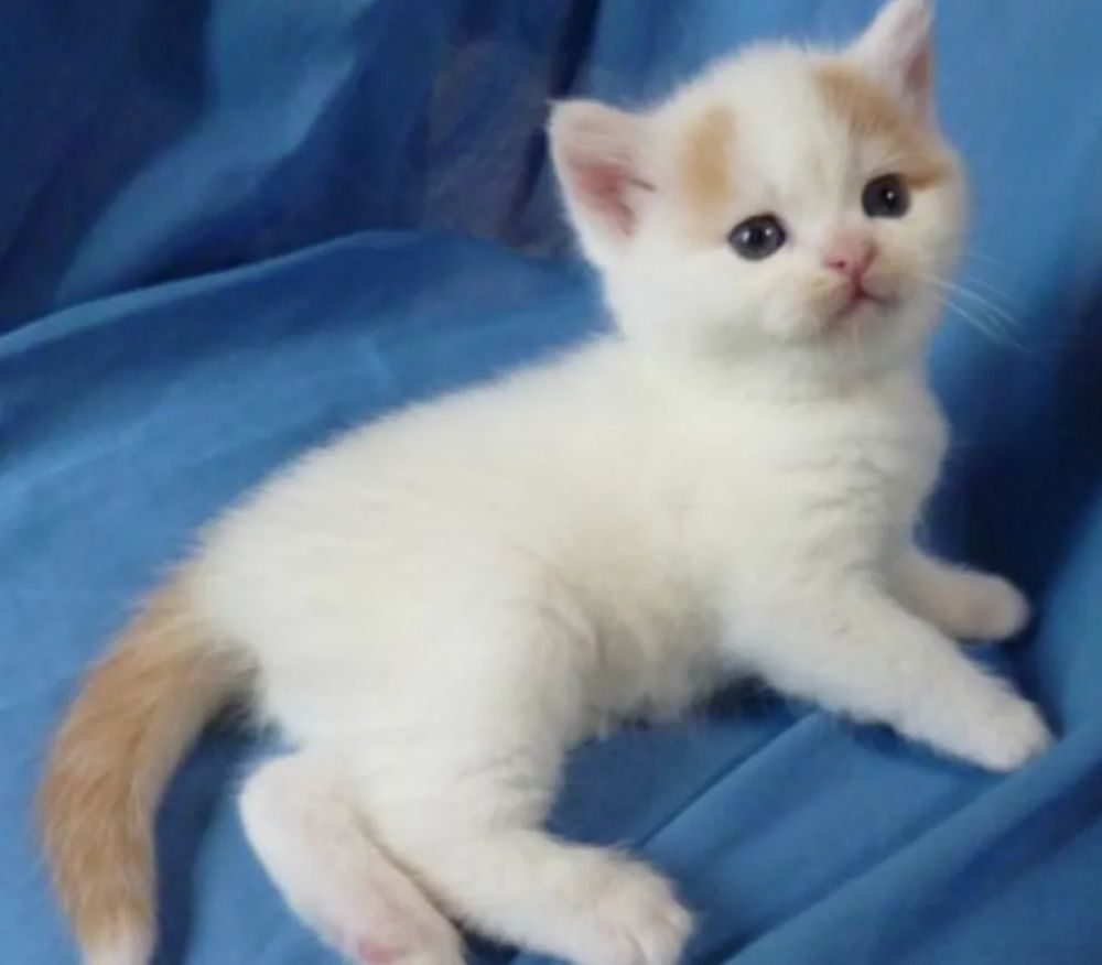 【実際の写真6枚】　成長した現在の様子