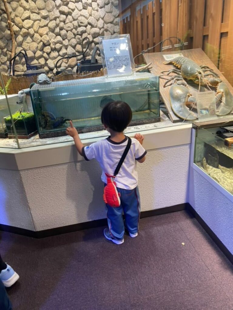 水族館を楽しむ息子さん（＠toyomaru0124さんより提供）