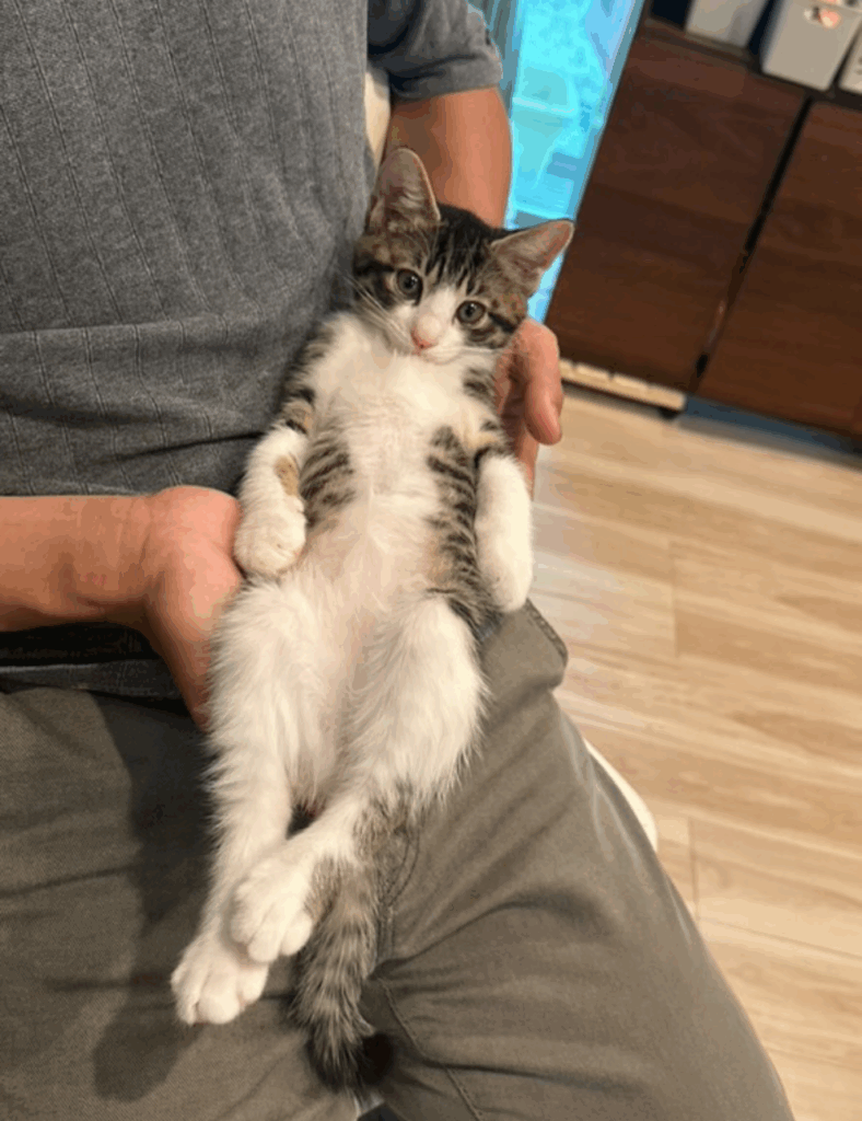 脱力してカメラ目線（@koban0726turuhime1129さんより提供）