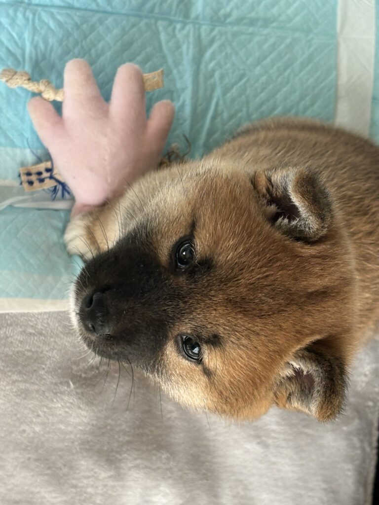 【実際の写真7枚】　8ヶ月後の様子