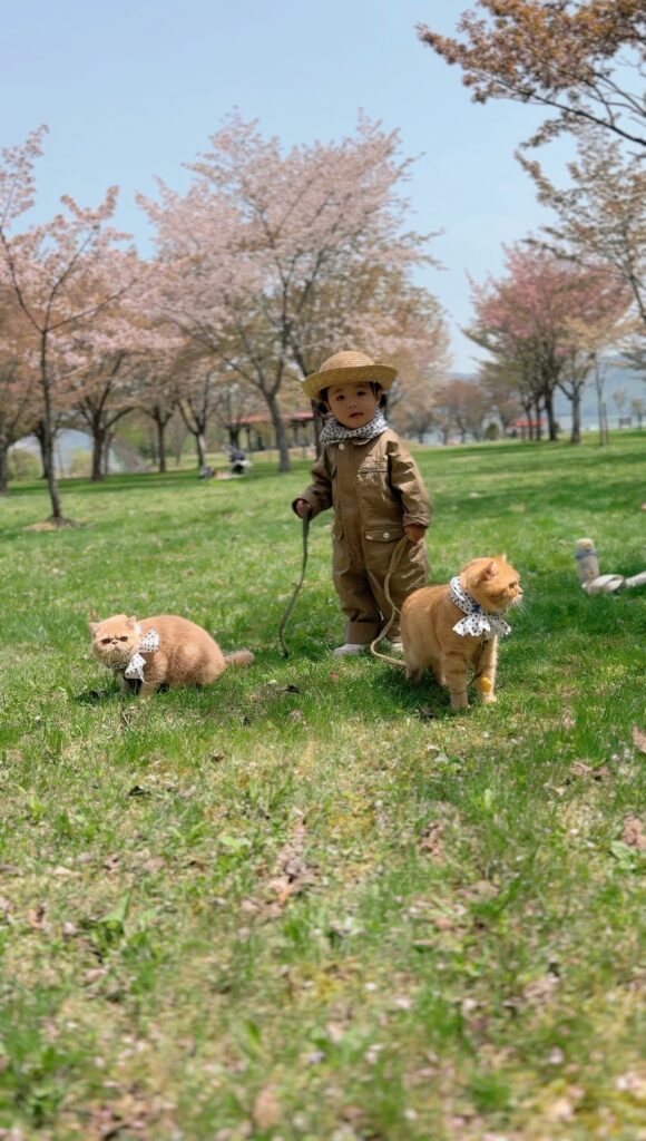 お散歩中（＠hinamaru_channelさんより提供）