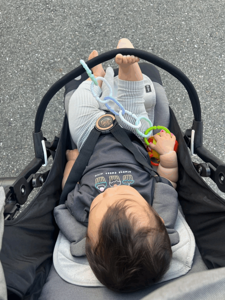 お散歩中も周囲に興味津々の娘さん（@ruri_no_kirokuさんより提供）