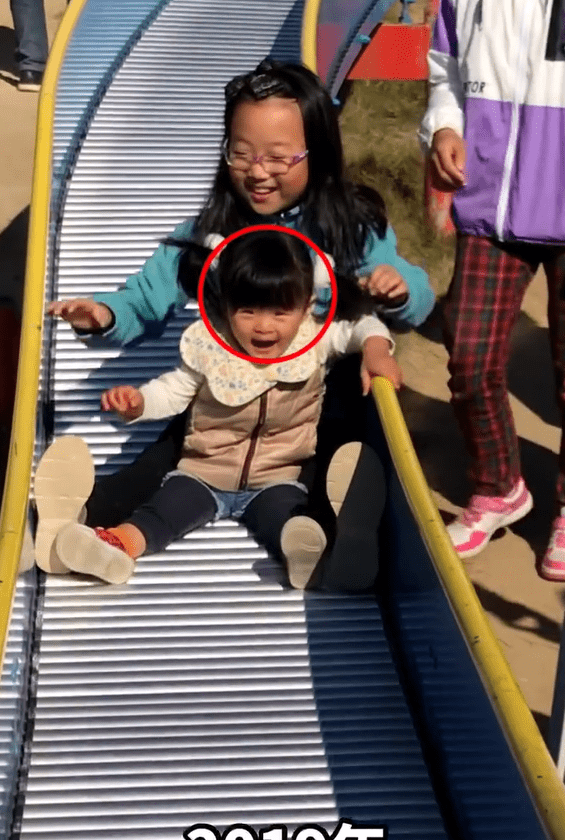 【実際の写真5枚】　６年後の様子