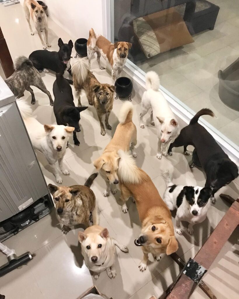 かわいらしい家族たち（@pan._.hanaさんより提供）