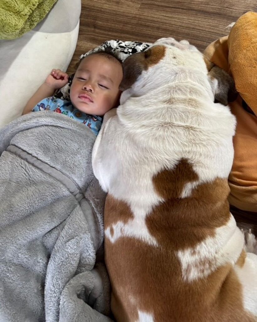 ピッタリくっついてスヤスヤ（＠nutastagram_bullさんより提供）