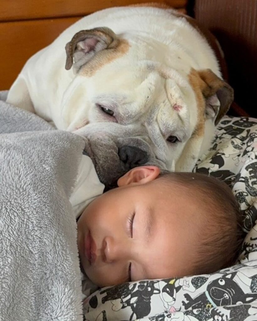 どんな夢を見ているのかな（＠nutastagram_bullさんより提供）