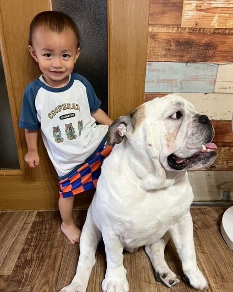 【実際の写真6枚】　投稿者さんが見た光景