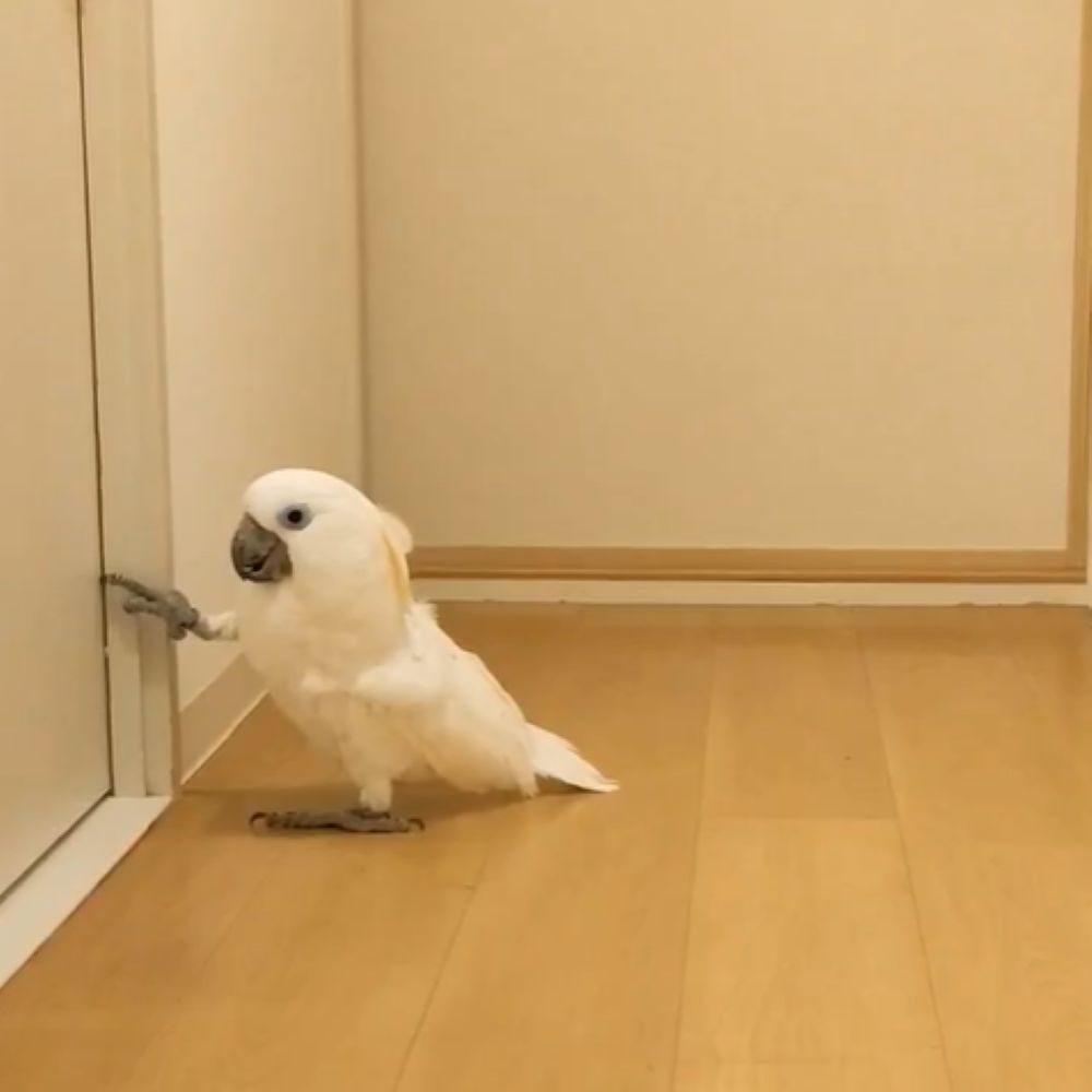 【実際の写真8枚】　投稿者さんが見た光景