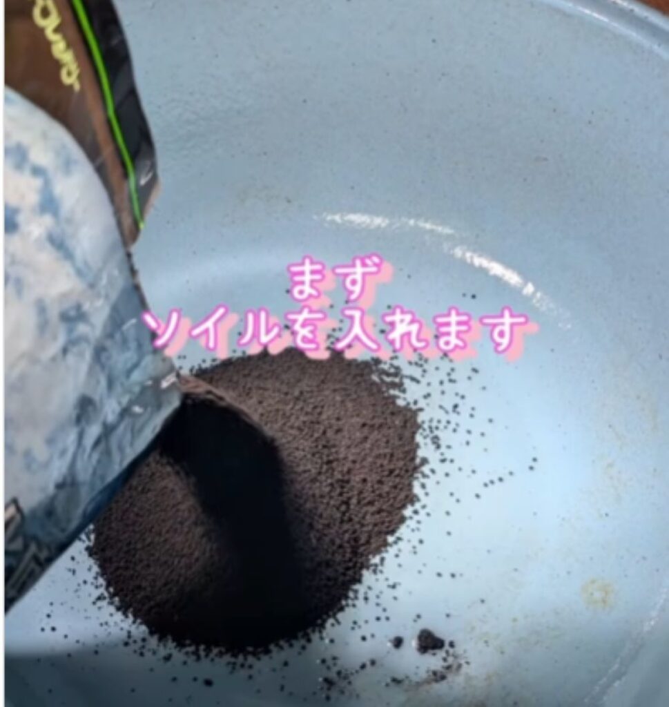 【実際の写真7枚】　１０日後の様子