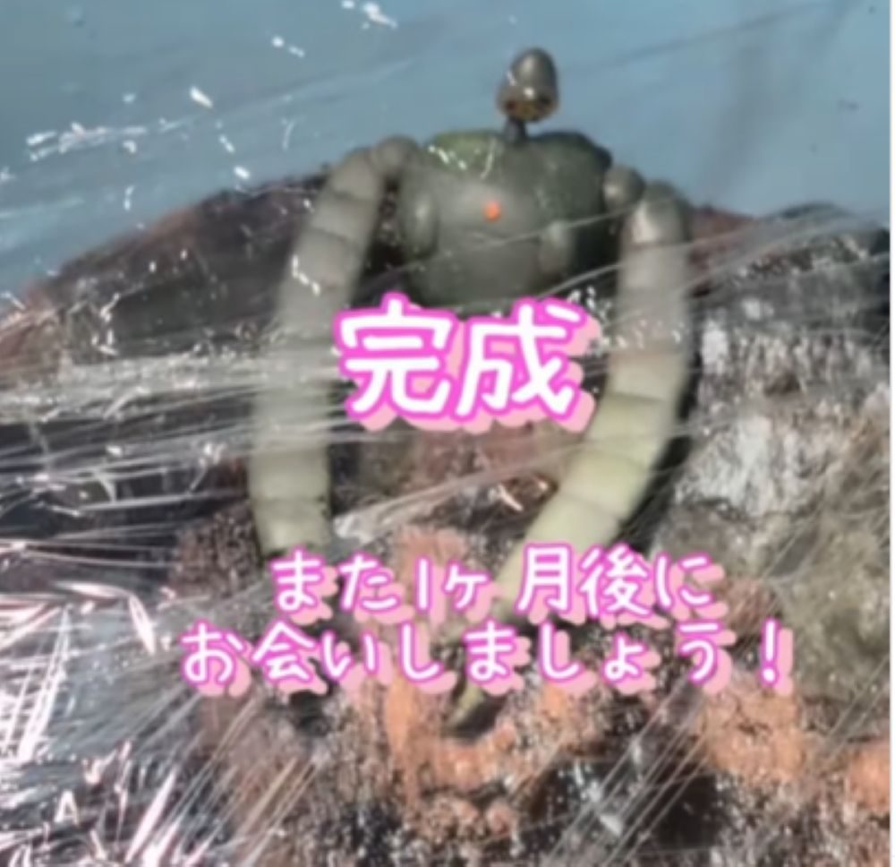 ラップをかけていったん完成（＠akr_6.9さんより提供）