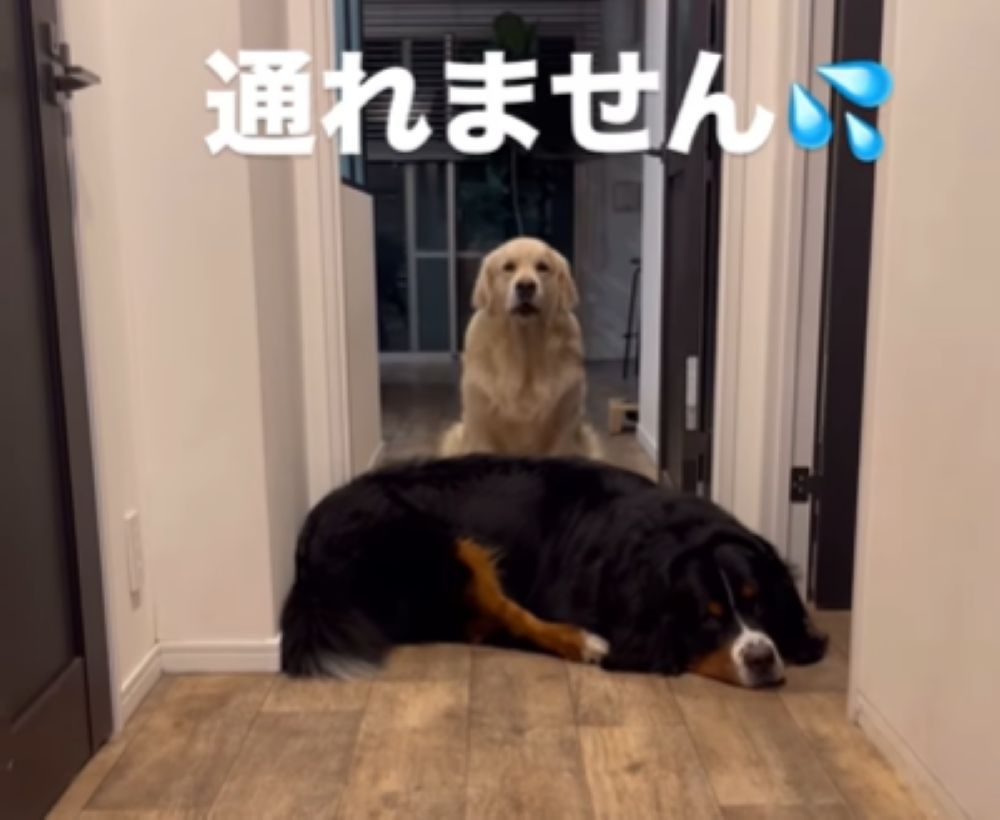 【実際の写真】目の前をよく見ると