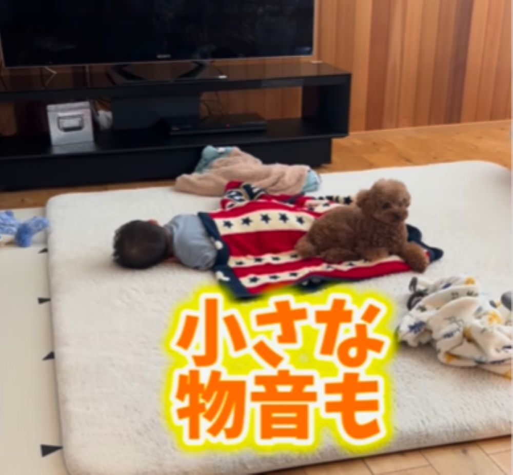 【実際の写真6枚】　ママが見た光景