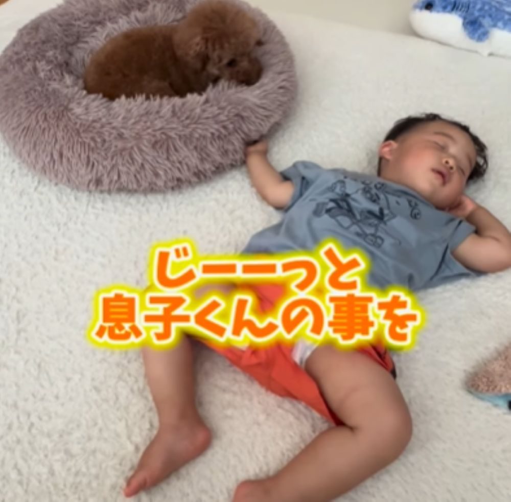 見守るレオくん（＠leo_poo__1126さんより提供）