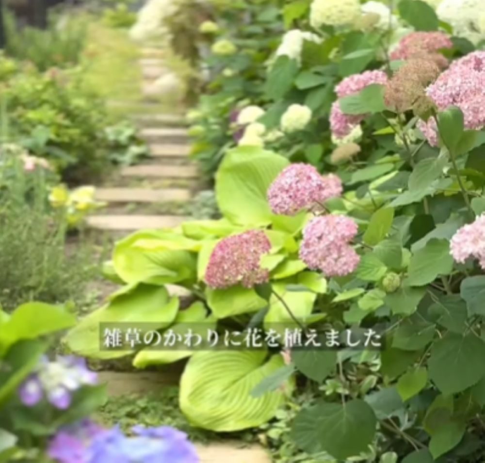 現在の裏庭（＠s.garden.homeさんより提供）