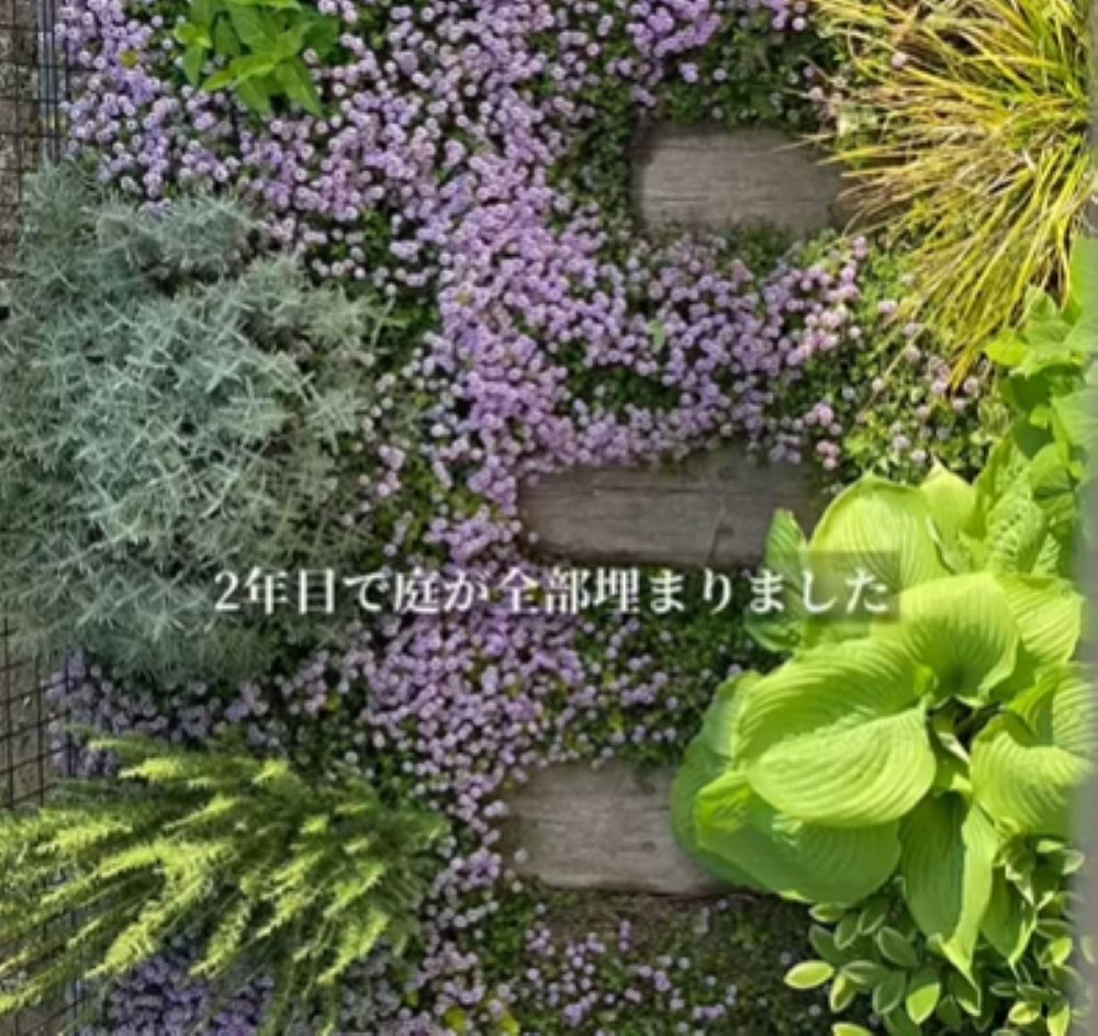 2年目の様子（＠s.garden.homeさんより提供）