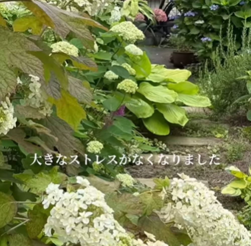 ストレスなく過ごせるように（＠s.garden.homeさんより提供）