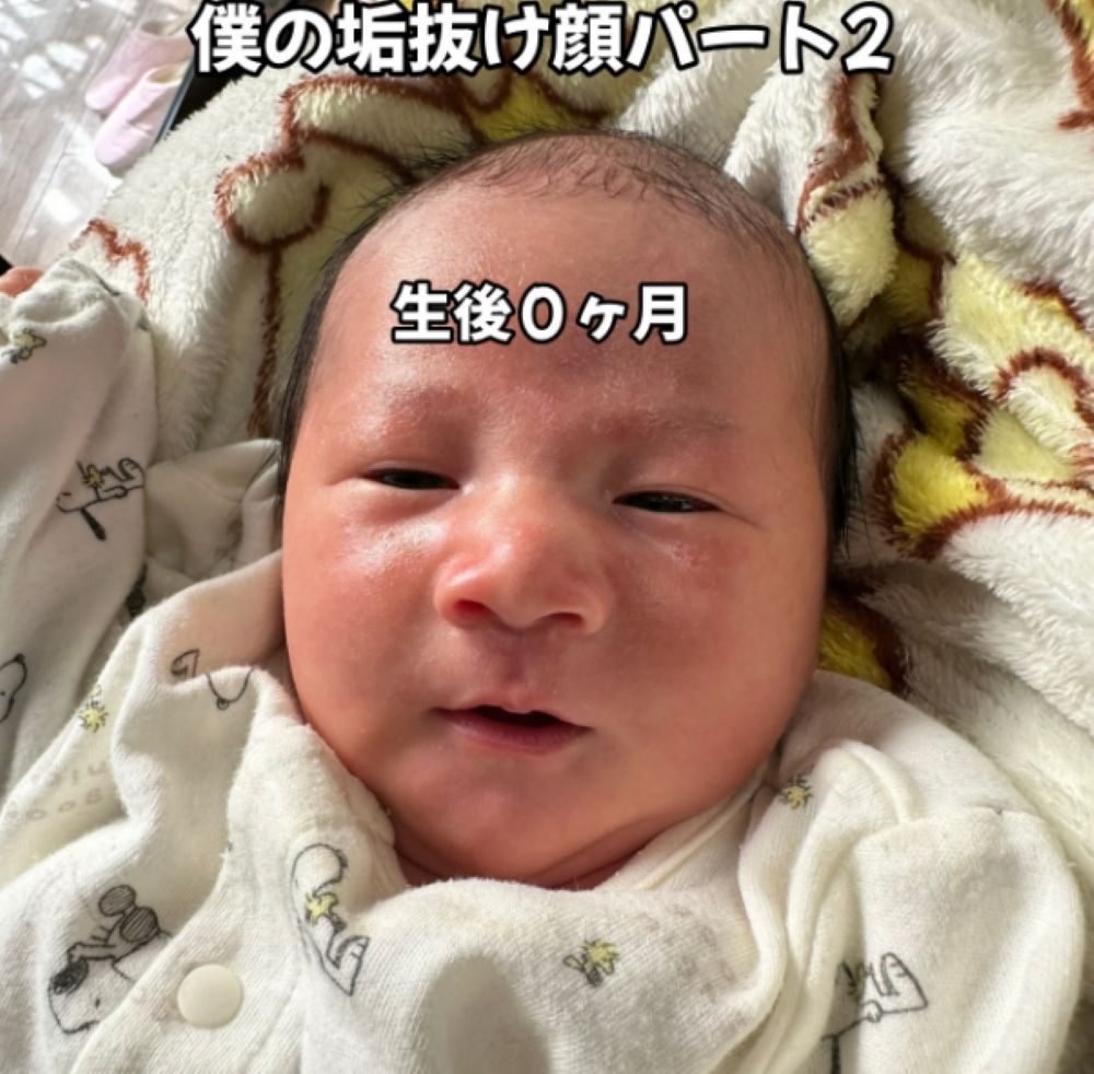 【実際の写真6枚】　成長した後の様子