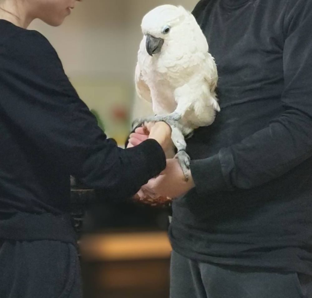 抱っこされるカブくん①（@iD3Po3ITje3Y2Iyさんより提供）