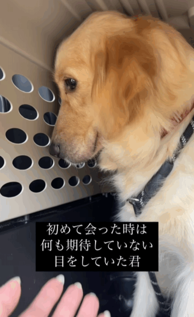 【実際の写真6枚】　1ヶ月後の様子