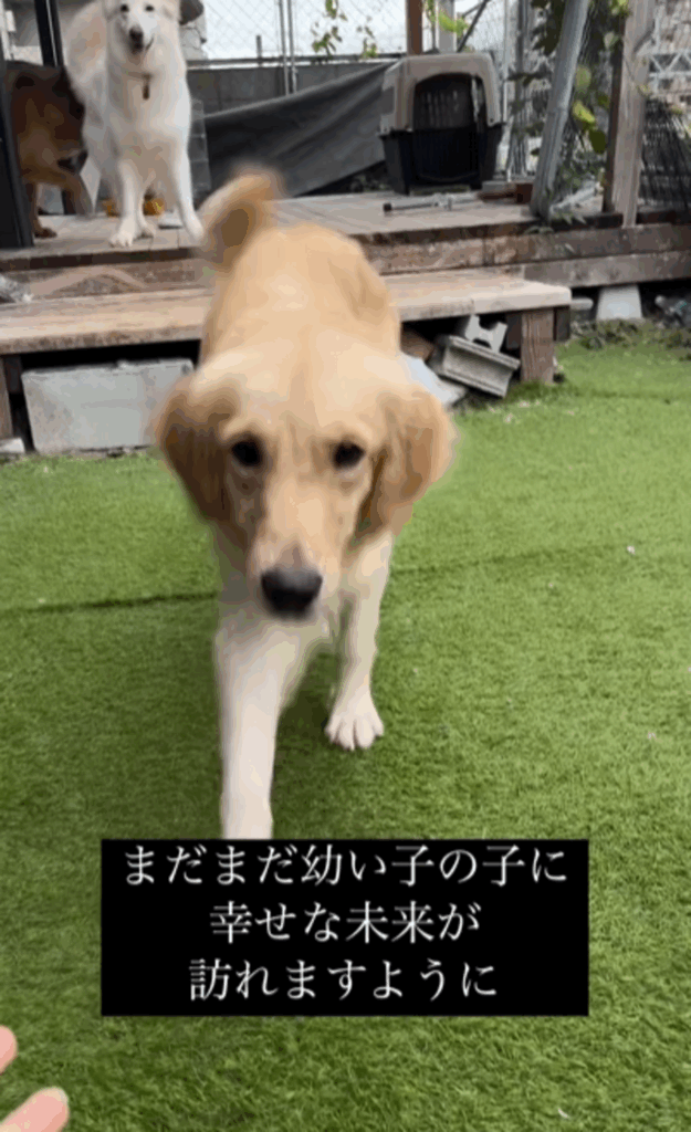 幸せな未来が訪れますように（@second.peace.0707さんより提供）