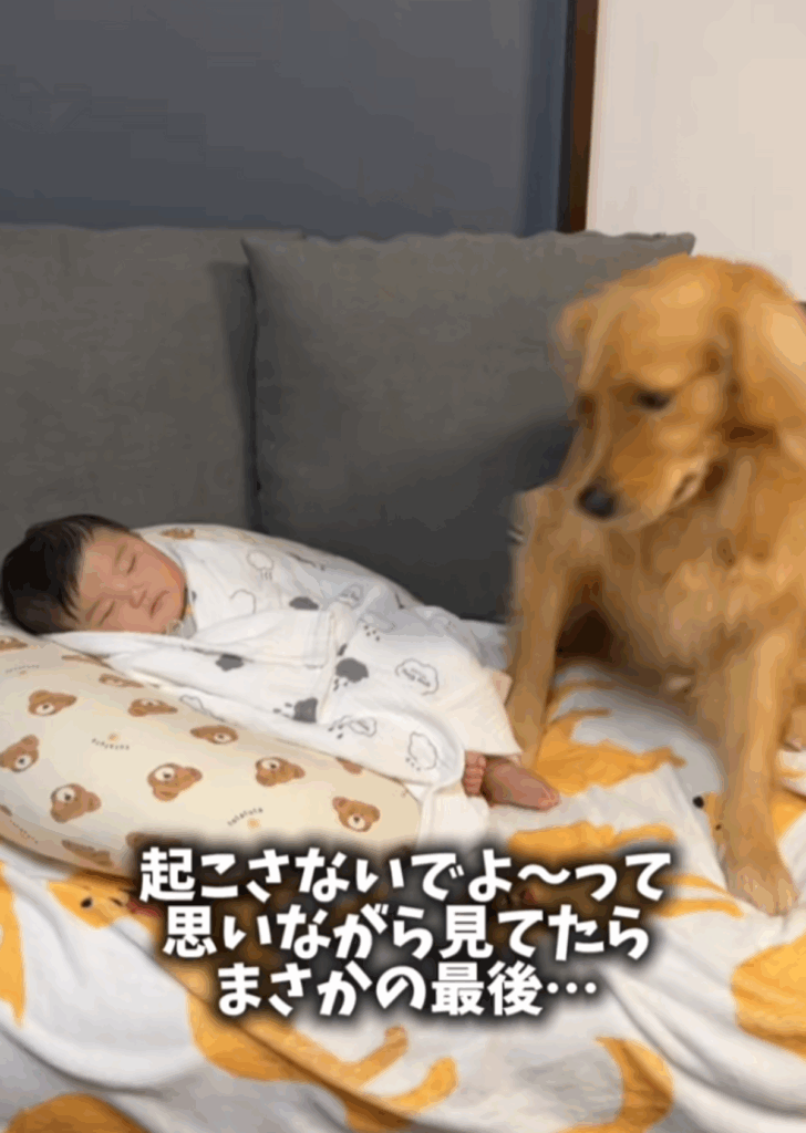 【実際の写真6枚】　赤ちゃんの隣の様子