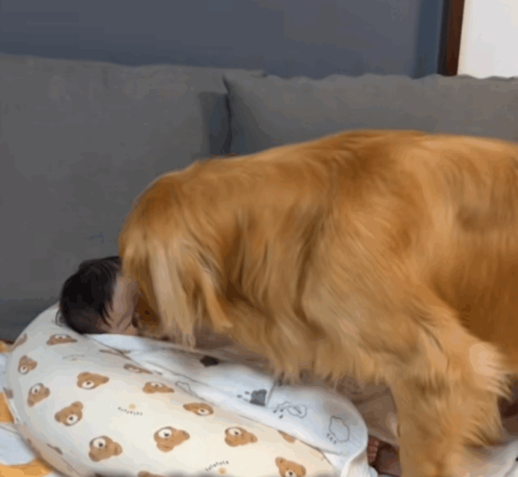 近くに行ったと思ったら…（@pino_abema2さんより提供）