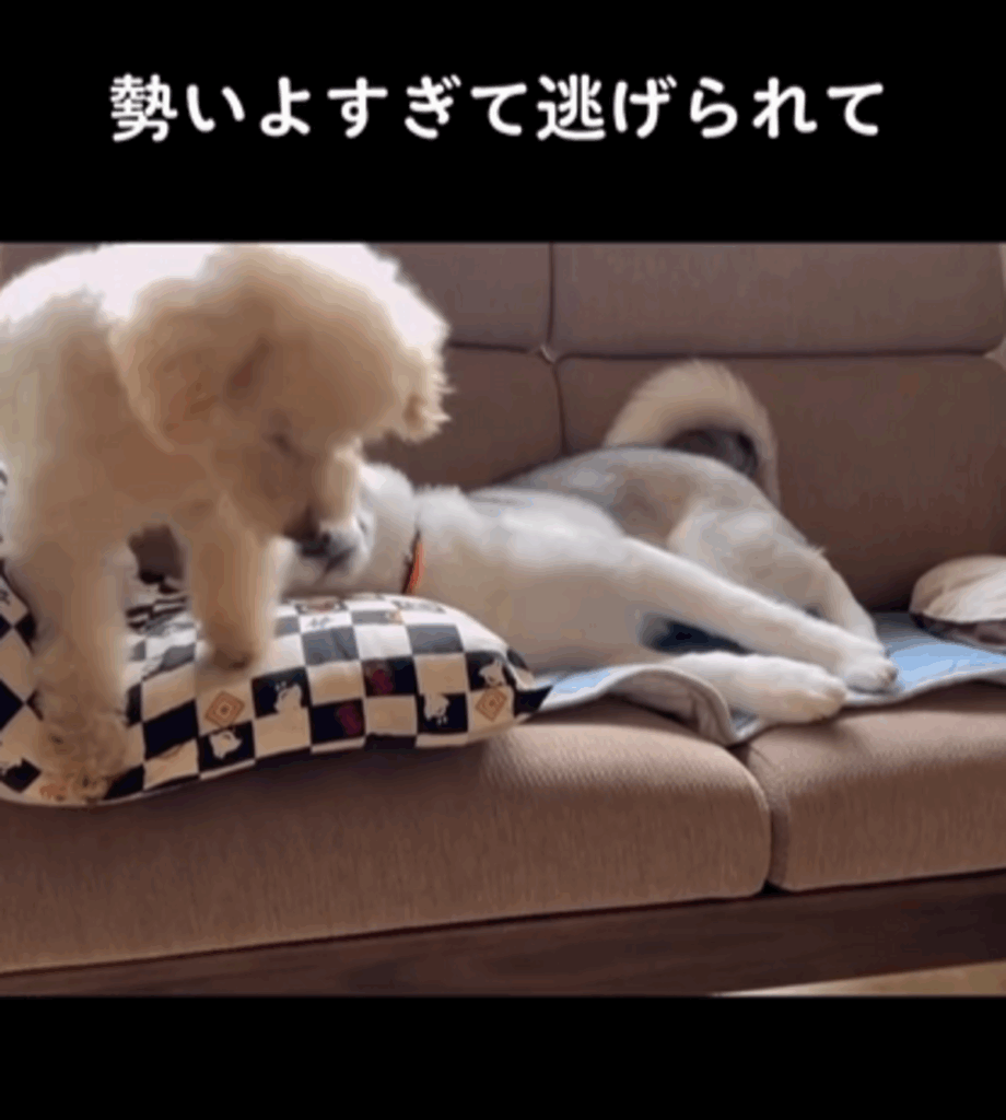 【実際の写真5枚】　半年後の様子