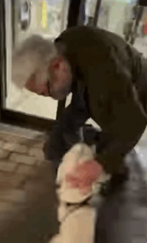 お疲れ様！（@sirop117westieさんより提供）