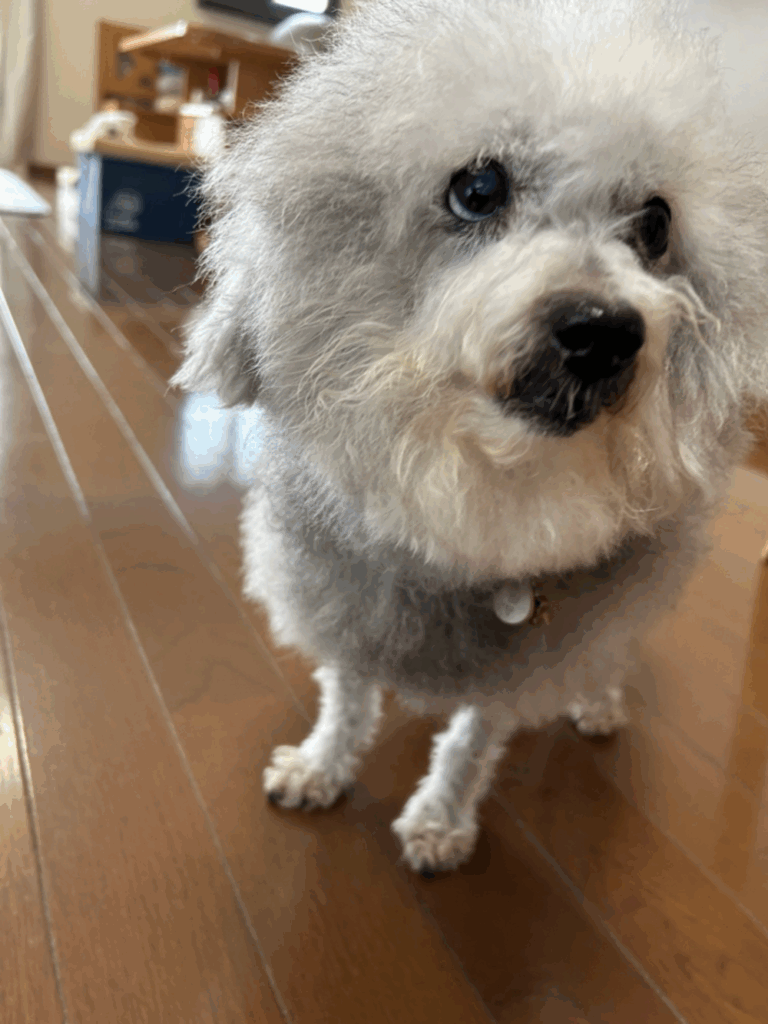 【実際の写真5枚】　まさかの光景