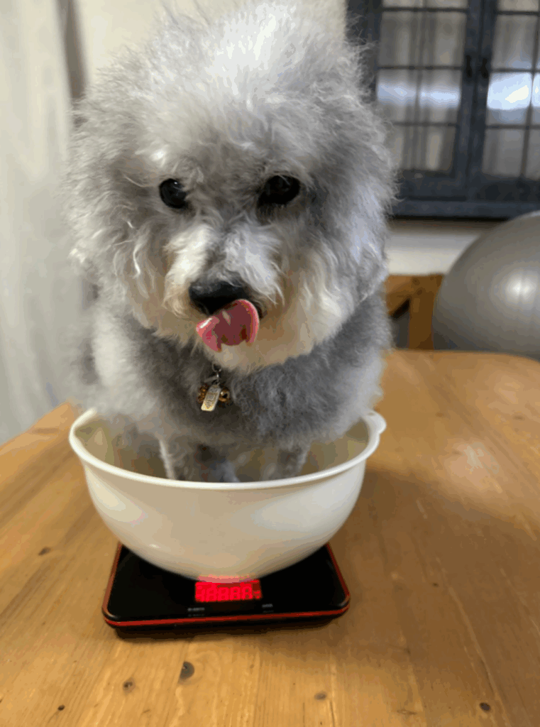 ペロリとかわいらしい表情（@9Z8lquSv8B3FMpNさんより提供）