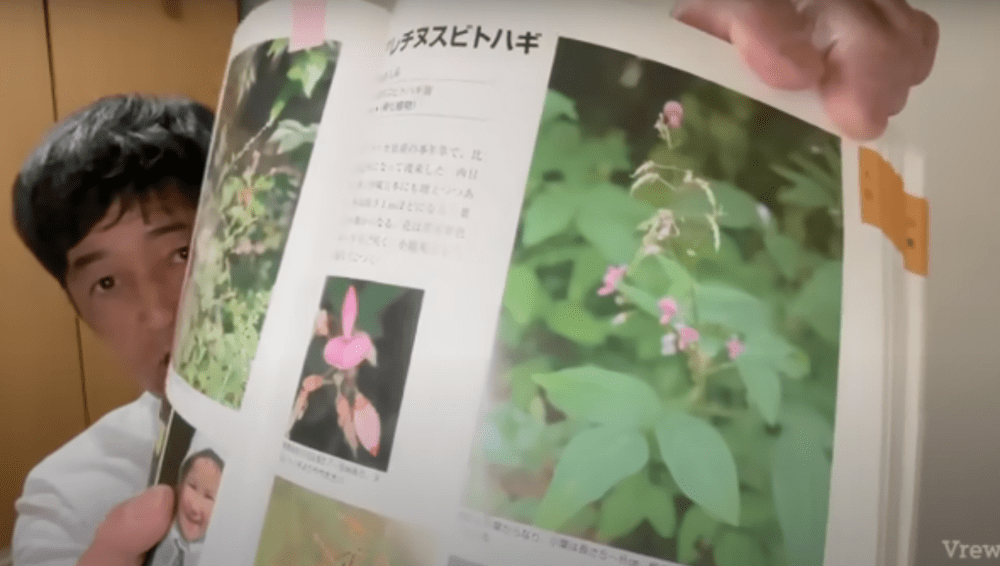 花は紫色（@kenzosanさんより提供）