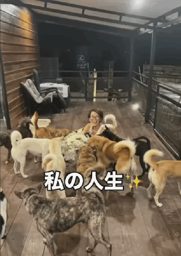 33頭のワンちゃんたちと暮らす投稿者さん（@pan._.hanaさんより提供）