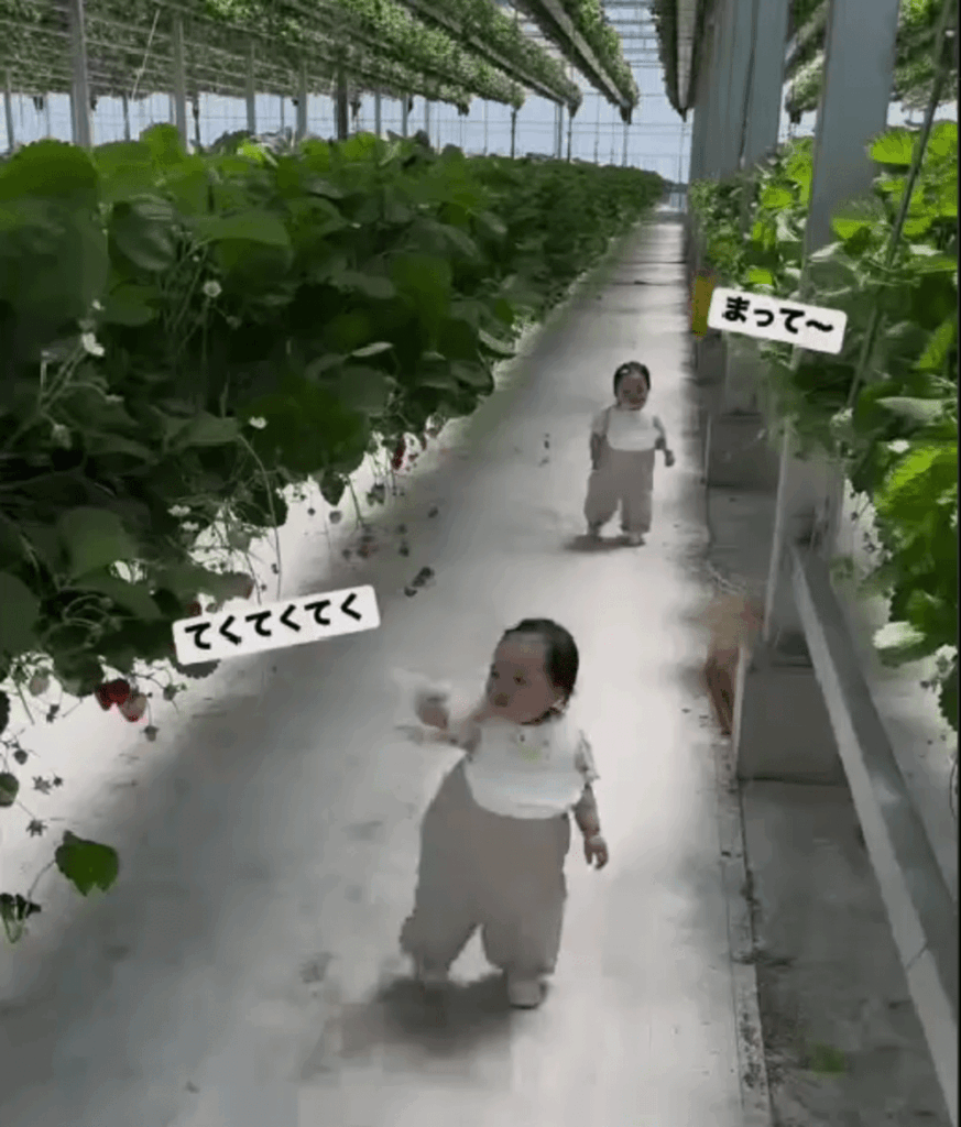 たくさん食べるぞ！（@girl_twingirlsさんより提供）