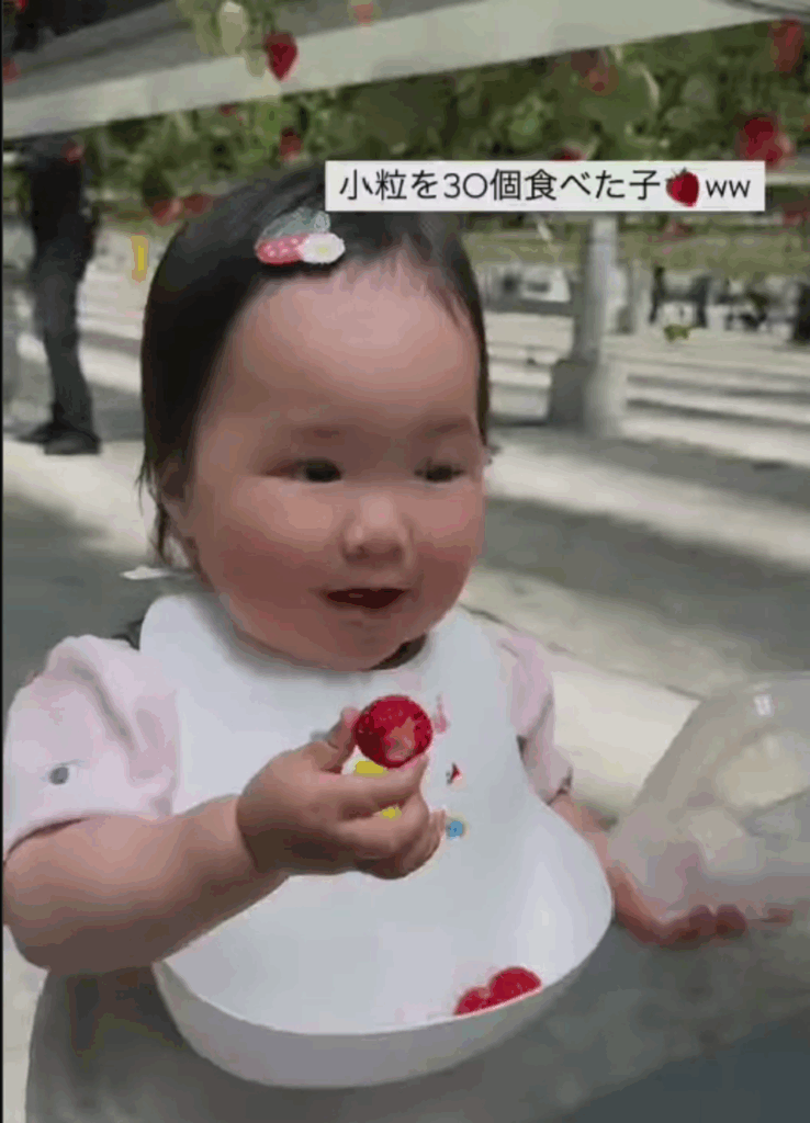 おいしくて止まらない！（@girl_twingirlsさんより提供）