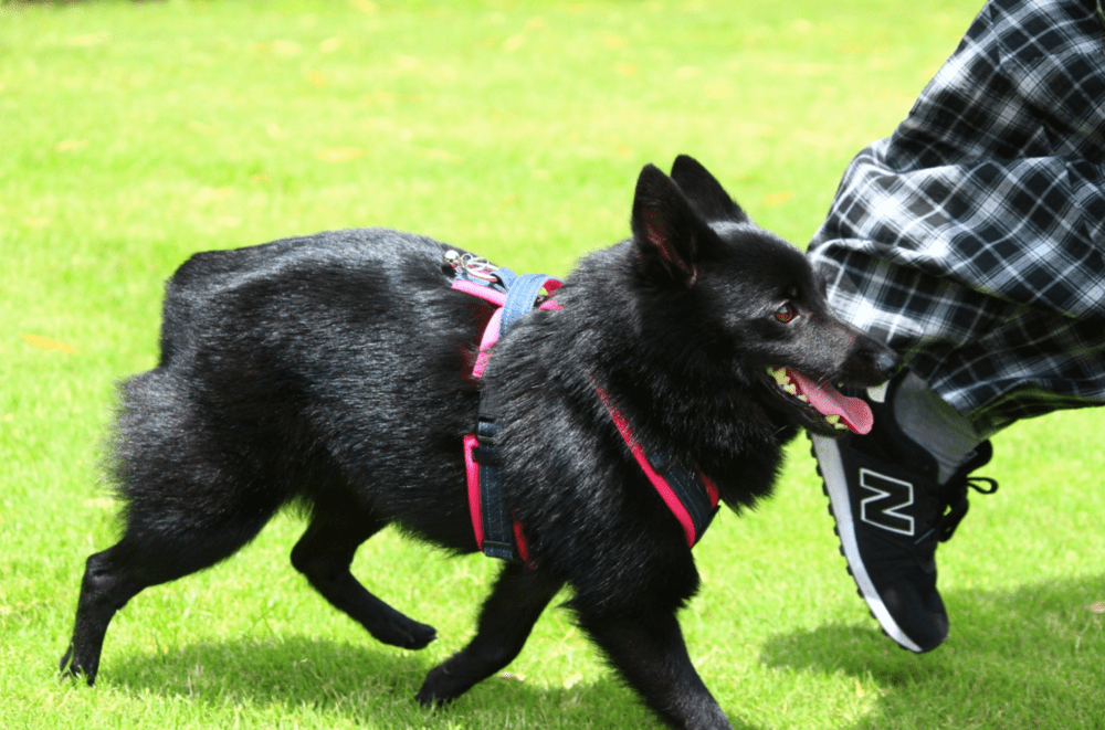 【実際の写真5枚】　６年後の様子