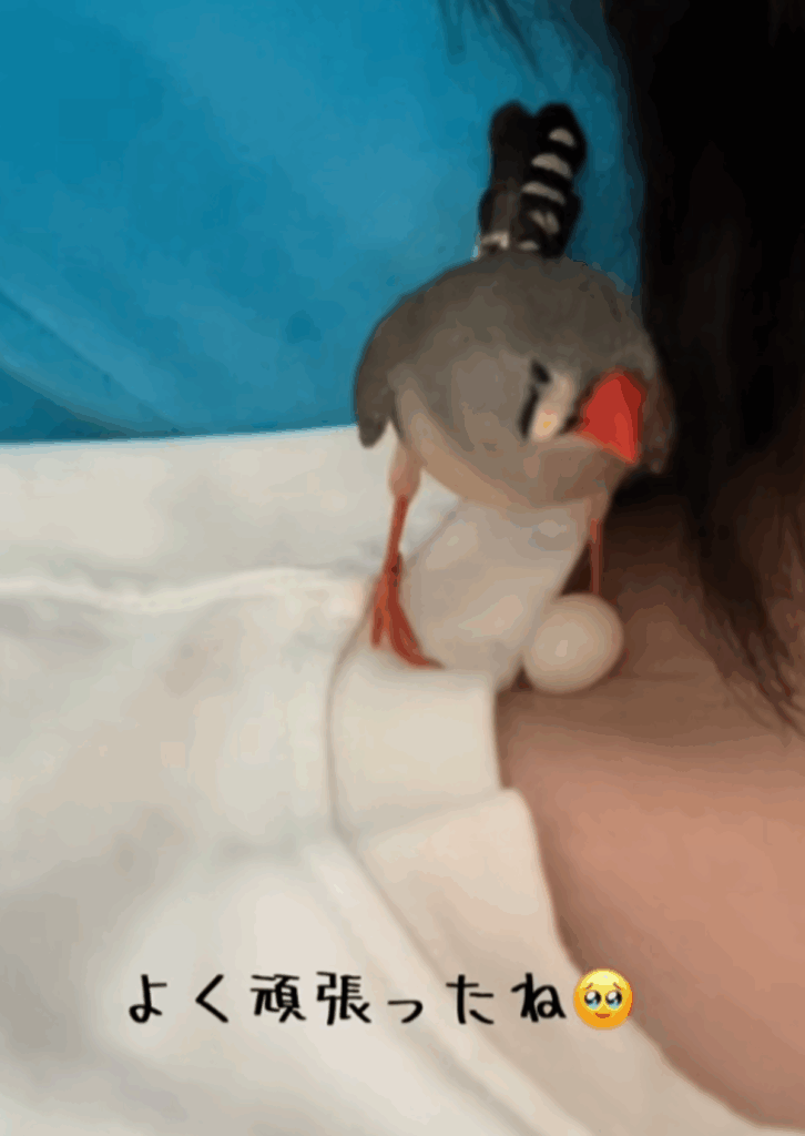 がんばりました（@beguu44さんより提供）