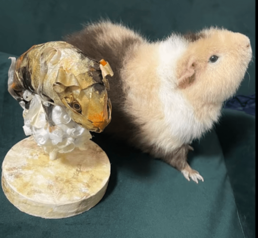 作品①「漂う雲に乗って」（＠ryosuke_paperartさんより提供）