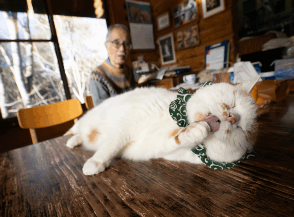 【実際の写真5枚】　飼い主さんが見た光景