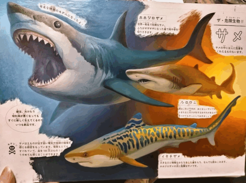 まるで図鑑のようなクオリティ（@yokkikuroboshi1さんより提供）