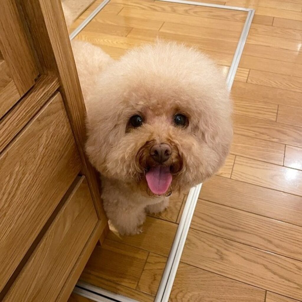 お腹がすいたのかな？（＠manmaru_nene_miracooさんより提供）