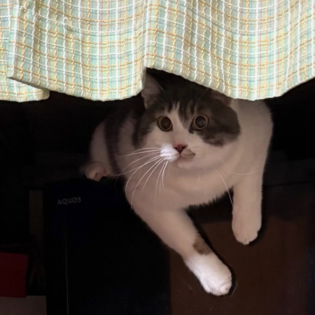 想像以上に大きくなってた！（＠sugarmeloncaramellatteさんより提供）